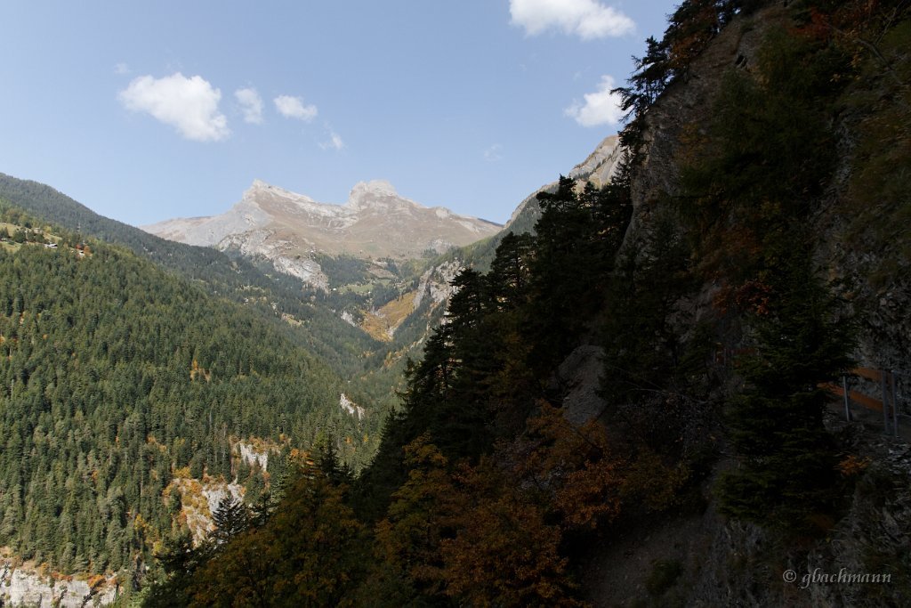20101009_070